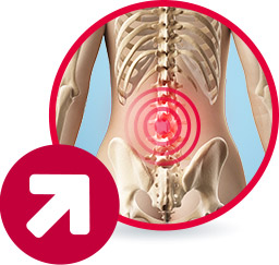 Zestaw ćwiczeń - Ćwiczenia na kręgosłup lędźwiowy Zestaw ćwiczeń - Ćwiczenia na kręgosłup lędźwiowy