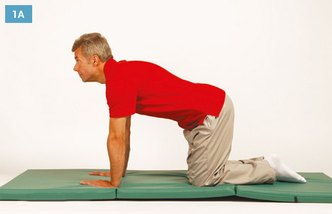 Ćwiczenie w klęku podpartym unosząc głowę do góry i wypychając środkową część kręgosłupa