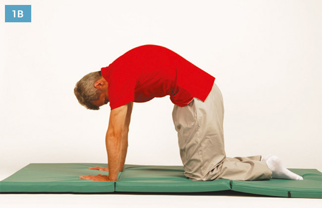 Ćwiczenie w klęku podpartym unosząc głowę do góry i wypychając środkową część kręgosłupa