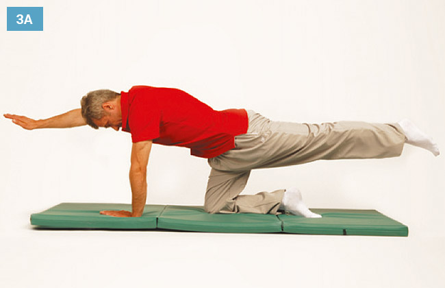 Ćwiczenie w klęku podpartym prostując naprzemiennie jedną rękę i nogę